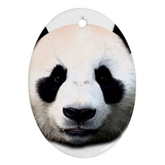 Panda Face Ornament (oval) by Valentinaart