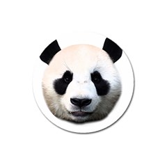 Panda Face Magnet 3  (round) by Valentinaart