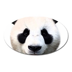 Panda Face Oval Magnet by Valentinaart