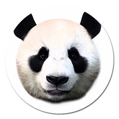 Panda Face Magnet 5  (round) by Valentinaart