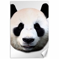 Panda Face Canvas 24  X 36  by Valentinaart