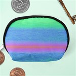 Ombre Accessory Pouches (Medium)  Back