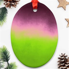 Ombre Oval Ornament (two Sides) by ValentinaDesign