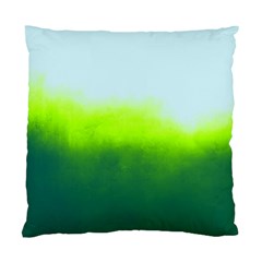 Ombre Standard Cushion Case (one Side)