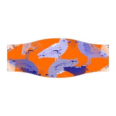 Seagull Gulls Coastal Bird Bird Stretchable Headband by Nexatart