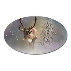 Santa Claus Reindeer In The Snow Oval Magnet by gatterwe