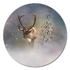 Santa Claus Reindeer In The Snow Magnet 5  (round) by gatterwe