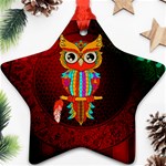 Cute Owl, Mandala Design Ornament (Star) Front