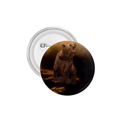 Roaring Grizzly Bear 1 75  Buttons by gatterwe