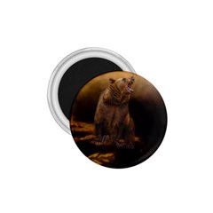 Roaring Grizzly Bear 1 75  Magnets by gatterwe