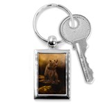 Roaring Grizzly Bear Key Chains (Rectangle)  Front