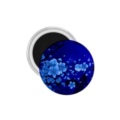 Floral Design, Cherry Blossom Blue Colors 1.75  Magnets