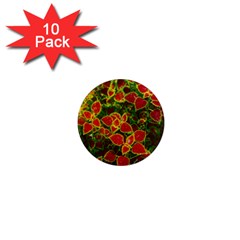 Flower Red Nature Garden Natural 1  Mini Magnet (10 Pack)  by Nexatart