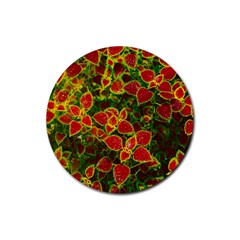 Flower Red Nature Garden Natural Rubber Round Coaster (4 Pack)  by Nexatart