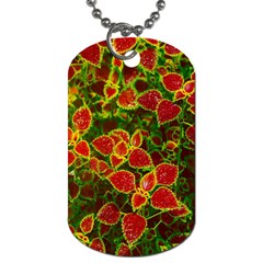 Flower Red Nature Garden Natural Dog Tag (one Side) by Nexatart