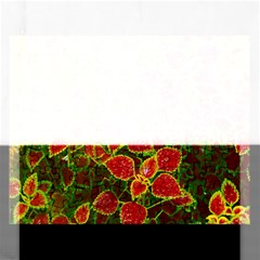 Flower Red Nature Garden Natural Rectangular Jigsaw Puzzl by Nexatart