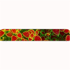 Flower Red Nature Garden Natural Small Bar Mats by Nexatart