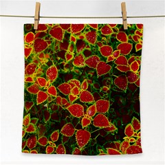 Flower Red Nature Garden Natural Face Towel by Nexatart