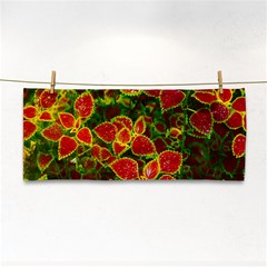 Flower Red Nature Garden Natural Cosmetic Storage Cases by Nexatart