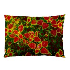 Flower Red Nature Garden Natural Pillow Case by Nexatart