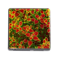 Flower Red Nature Garden Natural Memory Card Reader (square) by Nexatart