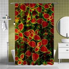 Flower Red Nature Garden Natural Shower Curtain 48  X 72  (small)  by Nexatart