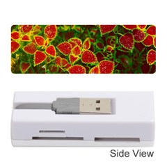 Flower Red Nature Garden Natural Memory Card Reader (stick)  by Nexatart