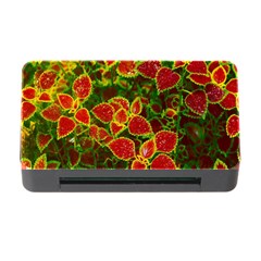 Flower Red Nature Garden Natural Memory Card Reader With Cf by Nexatart