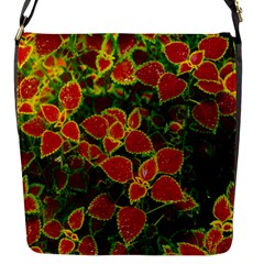 Flower Red Nature Garden Natural Flap Messenger Bag (s) by Nexatart