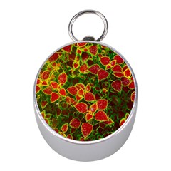 Flower Red Nature Garden Natural Mini Silver Compasses by Nexatart