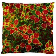 Flower Red Nature Garden Natural Large Flano Cushion Case (two Sides) by Nexatart