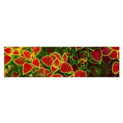 Flower Red Nature Garden Natural Satin Scarf (oblong) by Nexatart