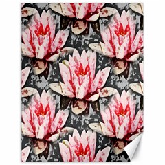 Water Lily Background Pattern Canvas 18  X 24   by Nexatart