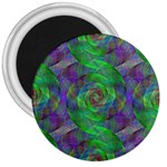 Fractal Spiral Swirl Pattern 3  Magnets Front