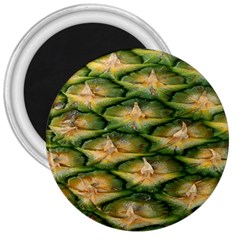 Pineapple Pattern 3  Magnets by Nexatart