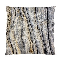 Texture Structure Marble Surface Background Standard Cushion Case (one Side) by Nexatart