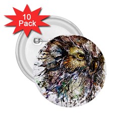 Angry And Colourful Owl T Shirt 2 25  Buttons (10 Pack)  by AmeeaDesign