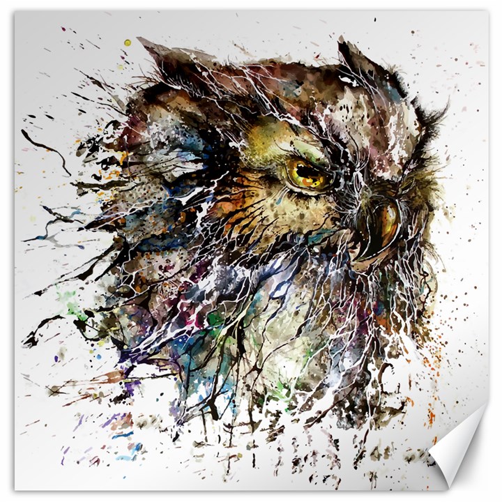 Angry And Colourful Owl T Shirt Canvas 12  x 12  