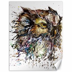 Angry And Colourful Owl T Shirt Canvas 12  X 16   by AmeeaDesign