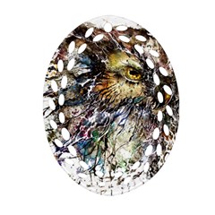 Angry And Colourful Owl T Shirt Ornament (oval Filigree) by AmeeaDesign