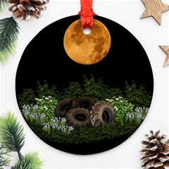 Ecology  Round Ornament (two Sides) by Valentinaart