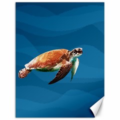 Sea Turtle Canvas 12  X 16   by Valentinaart