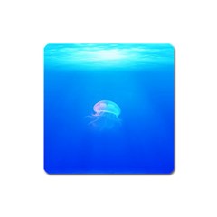 Jellyfish Square Magnet by Valentinaart