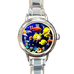 Tropical Fish Round Italian Charm Watch by Valentinaart