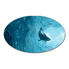 Shark Oval Magnet by Valentinaart