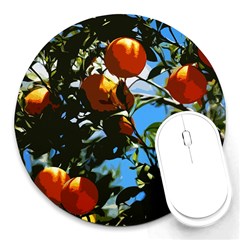 Orange Tree Round Mousepads by Valentinaart