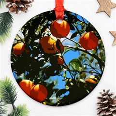 Orange Tree Ornament (round) by Valentinaart