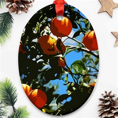 Orange Tree Ornament (oval) by Valentinaart