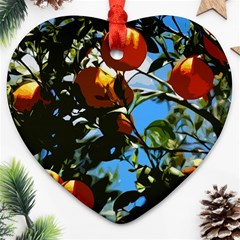 Orange Tree Ornament (heart) by Valentinaart