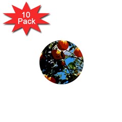 Orange Tree 1  Mini Magnet (10 Pack)  by Valentinaart